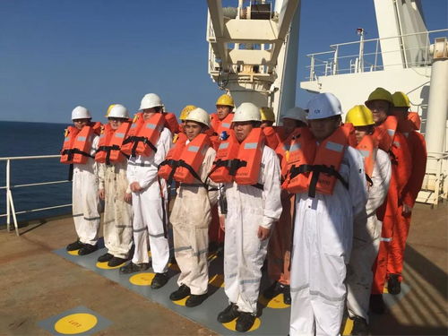 陽海國際船舶公司誠聘招生代理，共拓國際船舶管理業務新篇章